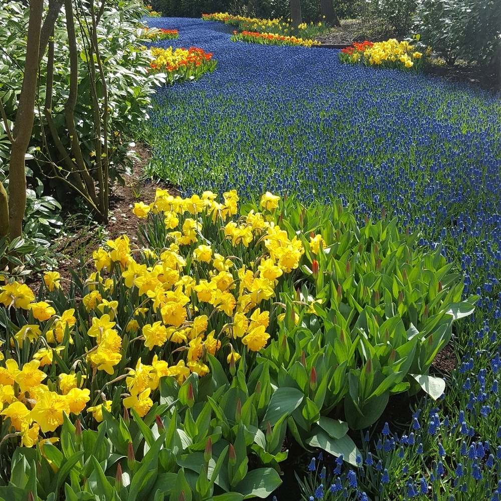 Meet your Posher, Margaret